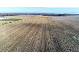 Property photo 26 - MAJOR, HIGH QUALITY LAND AUCTION - 346+/- ACRES OFFERED IN 8 TRACTS IN JACKSON COUNTY, INDIANA